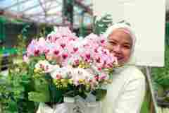 Bunga-Anggrek-Bulan-Puspa-Dewi-Flower-3