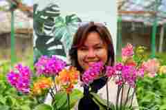 Jual-Anggrek-Bulan-Jakarta-Puspa-Dewi-Flower-3