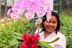 Jual-Anggrek-Bulan-Puspa-Dewi-Flower-3