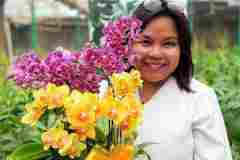 Jual-Anggrek-Jakarta-2
