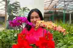 Jual-Anggrek-Jakarta-Puspa-Dewi-Flower-14