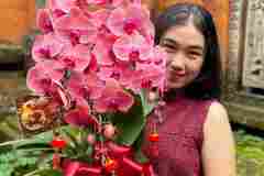 Jual-Anggrek-Jakarta-Puspa-Dewi-Flower-22