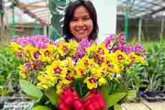 Jual-Anggrek-Jakarta-Puspa-Dewi-Flower-24