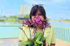 Jual-Anggrek-Jakarta-Puspa-Dewi-Flower-27