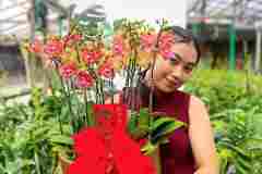 Jual-Anggrek-Jakarta-Puspa-Dewi-Flower-7