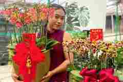 Jual-Anggrek-Jakarta-Puspa-Dewi-Flower-8