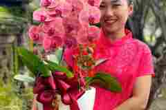 Jual-Anggrek-Jakarta-Puspa-Dewi-Flower-9