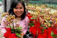 Jual-Bunga-Anggrek-Bulan-Puspa-Dewi-Flower-2