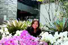 Jual-Bunga-Anggrek-Jakarta-Puspa-Dewi-Flower