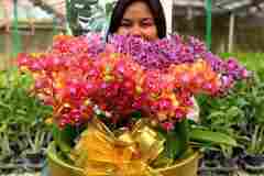 WhatsApp-Image-2025-05-26-at-12.00.16-PM