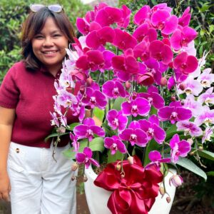 anggrek Bulan Phalaenopsis Isi 8 Plant/Pot