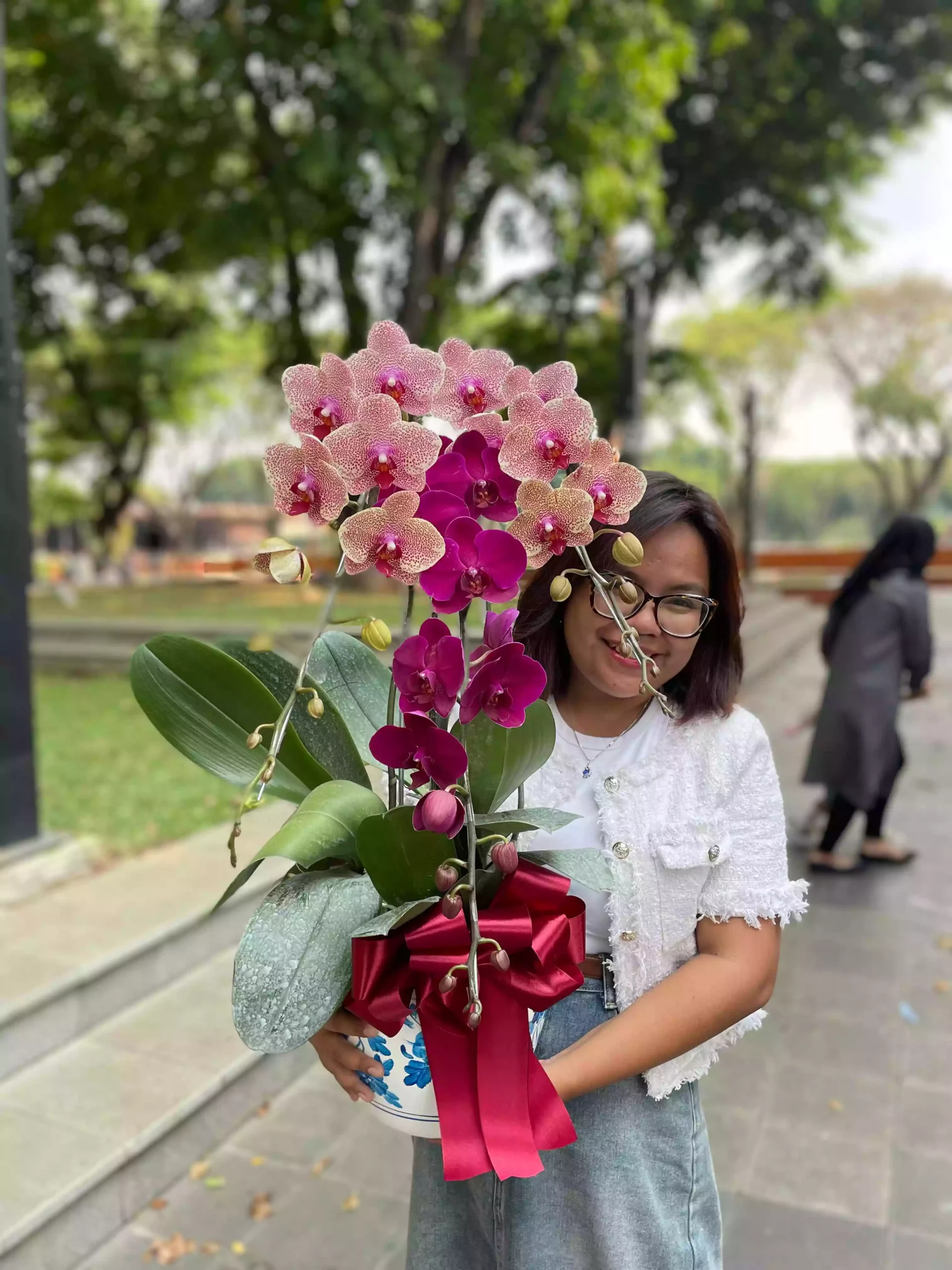 Anggrek Bulan (Phalaenopsis) Isi 3 Plant/Pot - Gambar 5